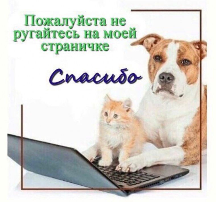 Пожалуйста не ругайтесь на моей страничке