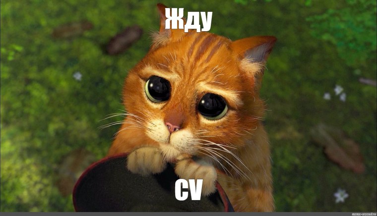 Вот столько тебе счастья