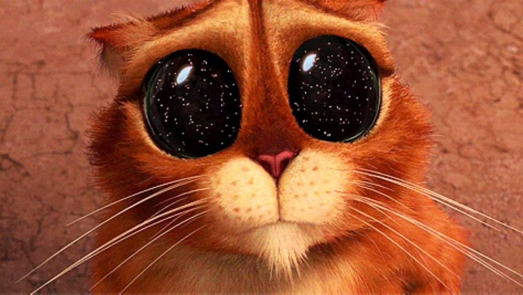 Кот Шрек глаза