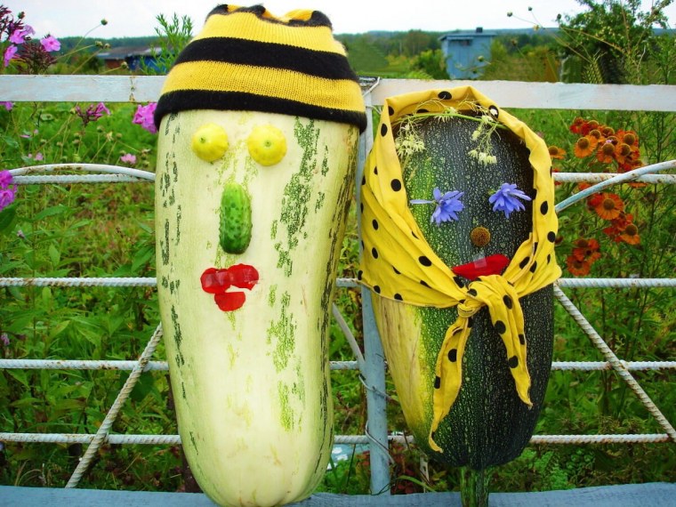 Кабачок смех