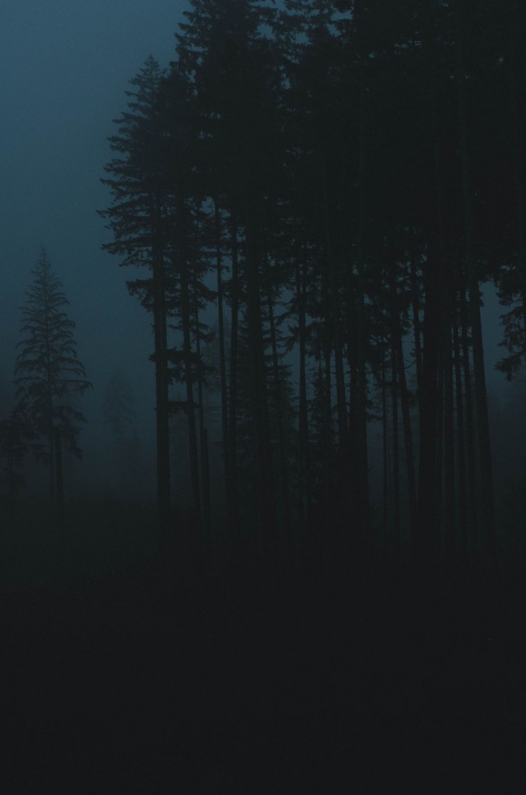 Эстетика тёмного леса