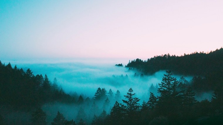 Горный лес в тумане ночью