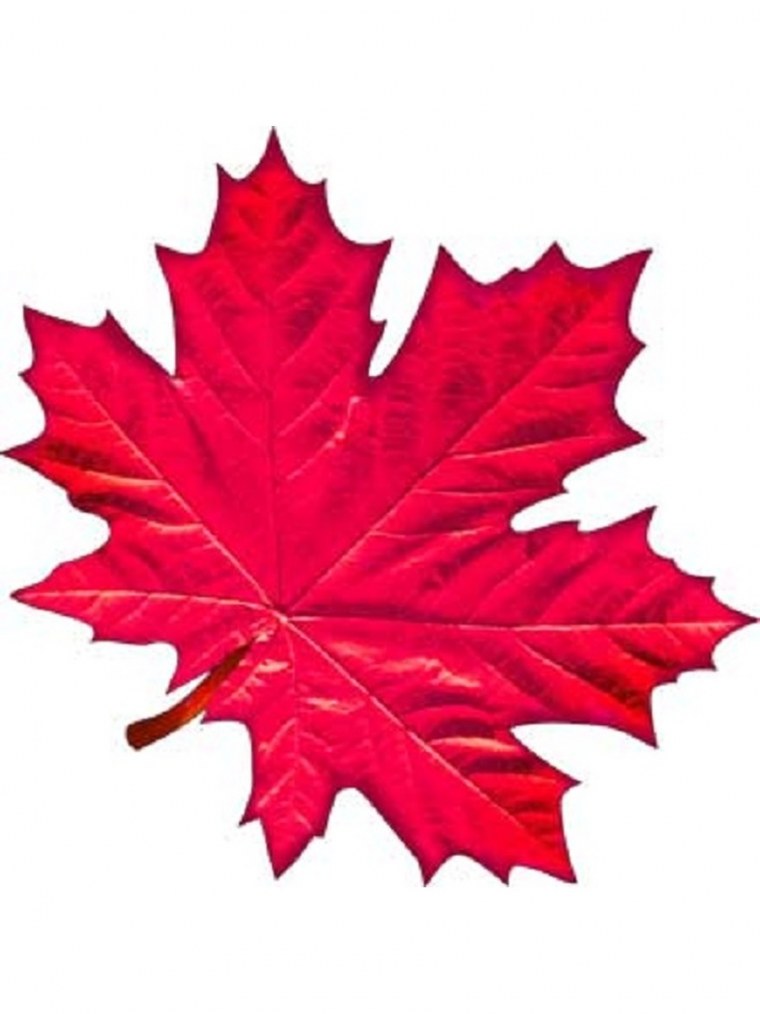 Цветной лист