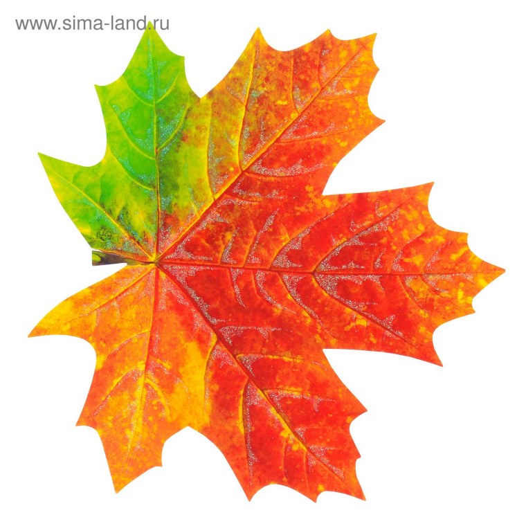 Кленовые листочки