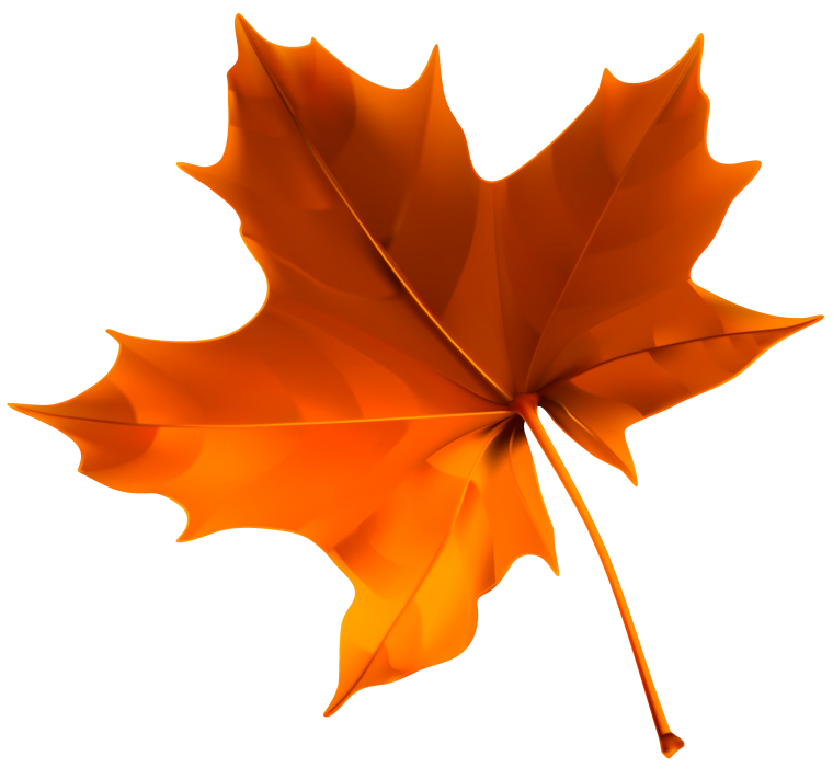 Осенний кленовый листок