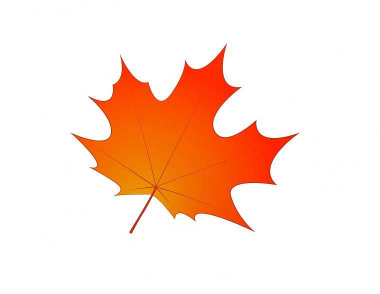 Осенний лист платана