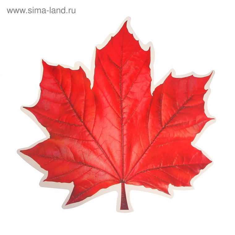 Осенний кленовый лист