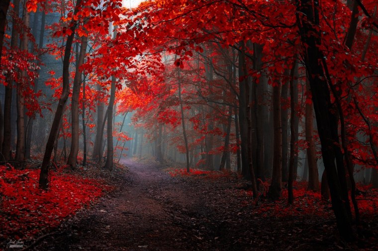 Природа осень