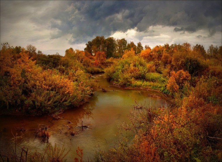 Красная осень