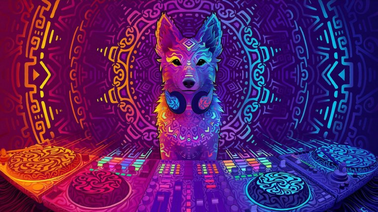 Ubuntu Disco Dingo
