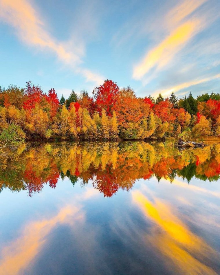 Осенние краски природы