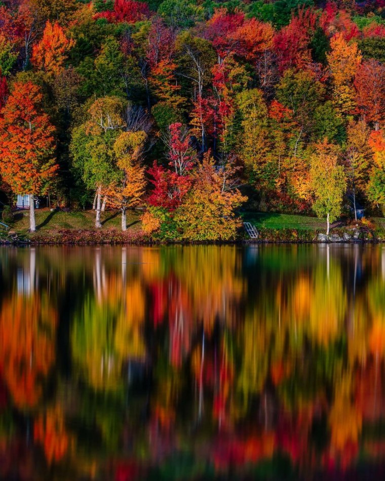 Разноцветная осень