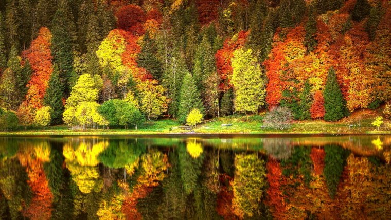 Яркие краски осени