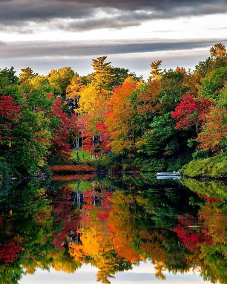 Осень в лесу