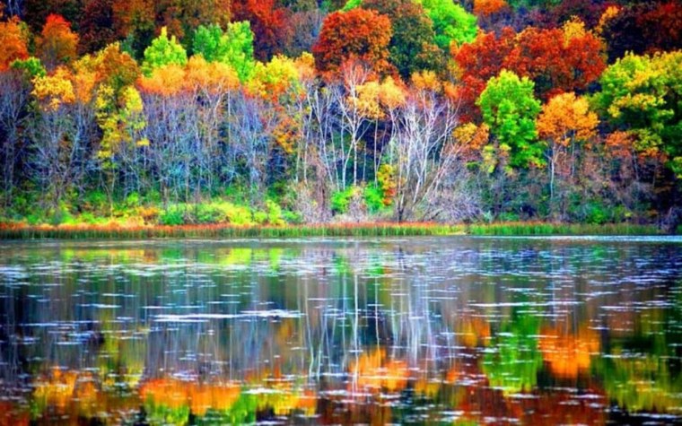 Природа осень