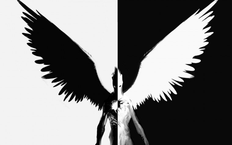 Ангел с черным и белым крылом