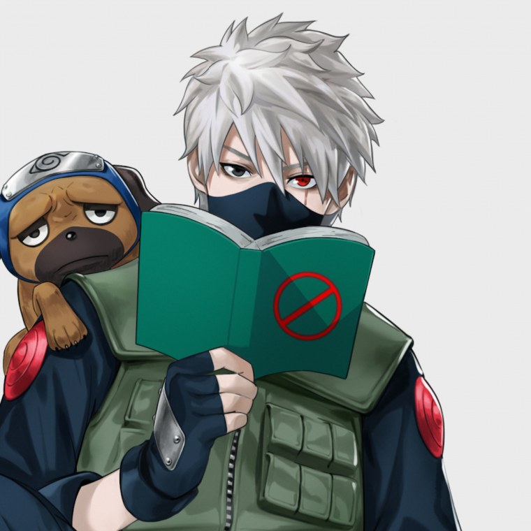 Какаси Хатакэ с книжкой