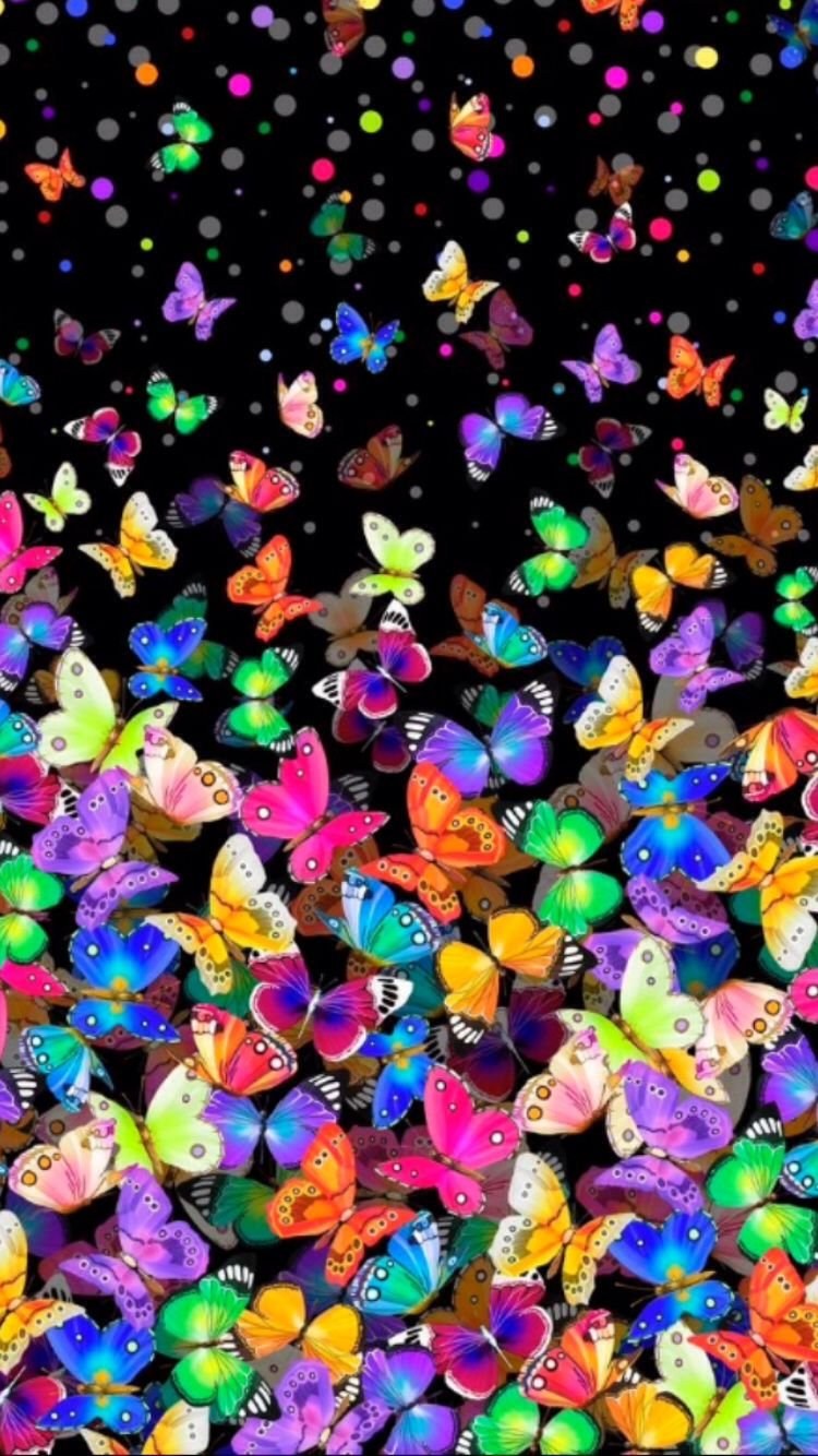 Много разноцветных бабочек