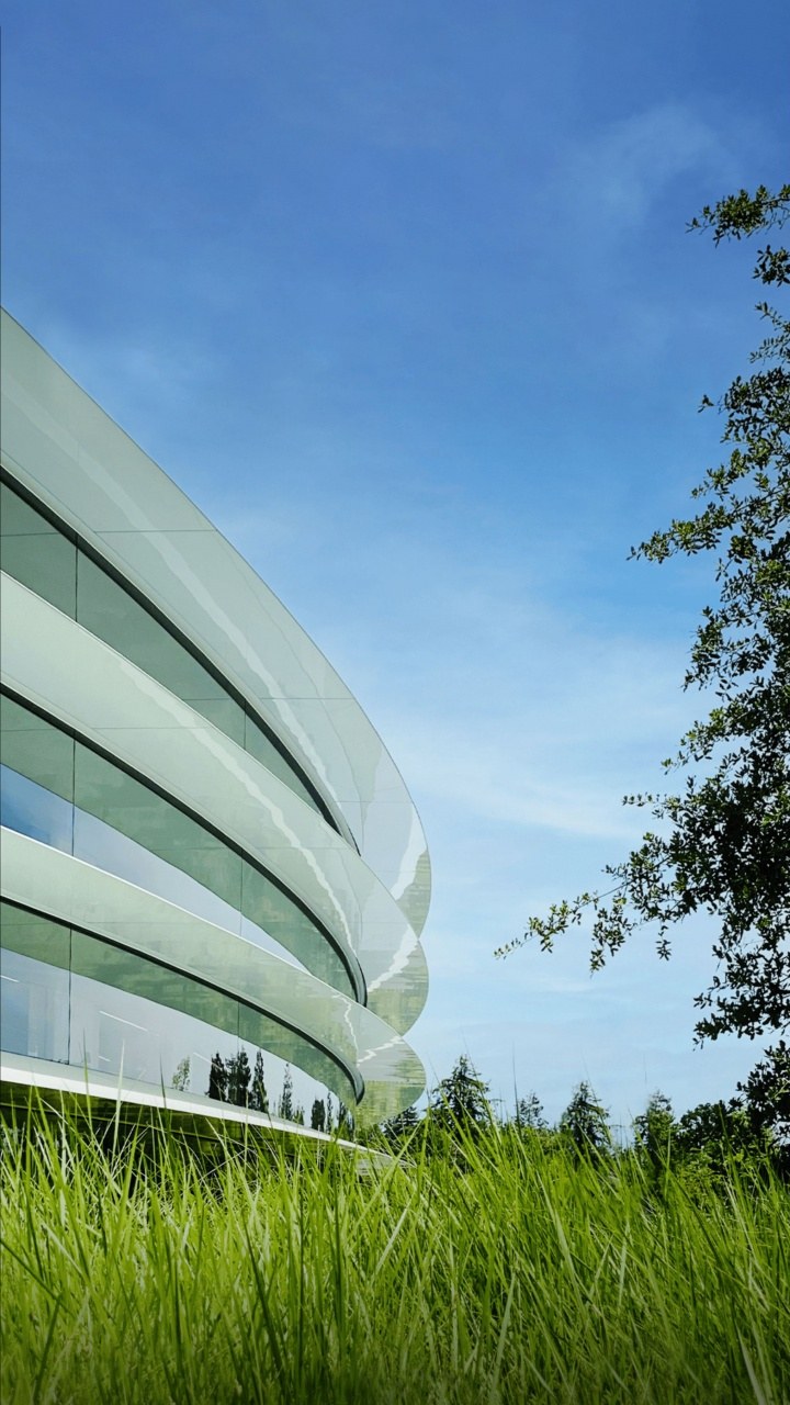 Ван Шрек Отто