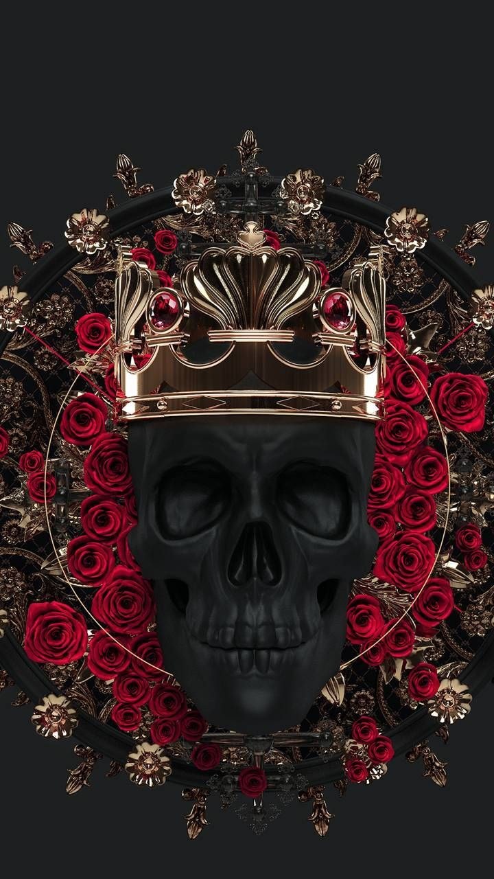 Мак цветок на черном фоне