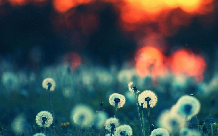 Обои на заставку экрана блокировки