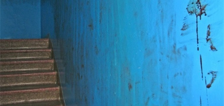 Дверь в подъезд с домофоном