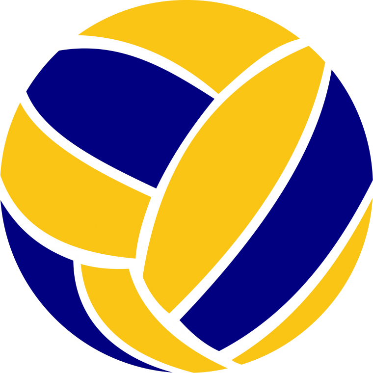 Волейбол значок