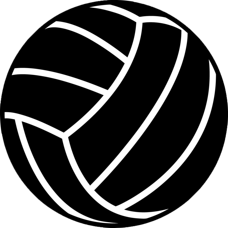 Волейбольный мяч