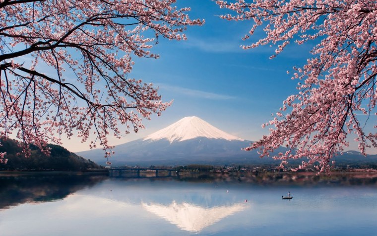 Гора Фудзи и Сакура
