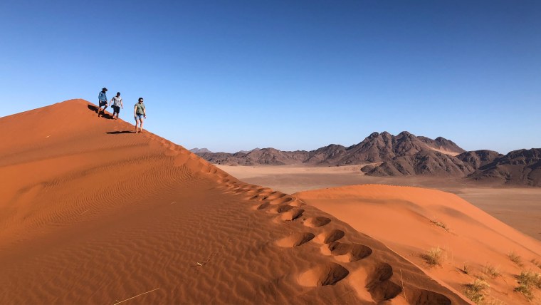 Одинокие пустыни в кинотеатре