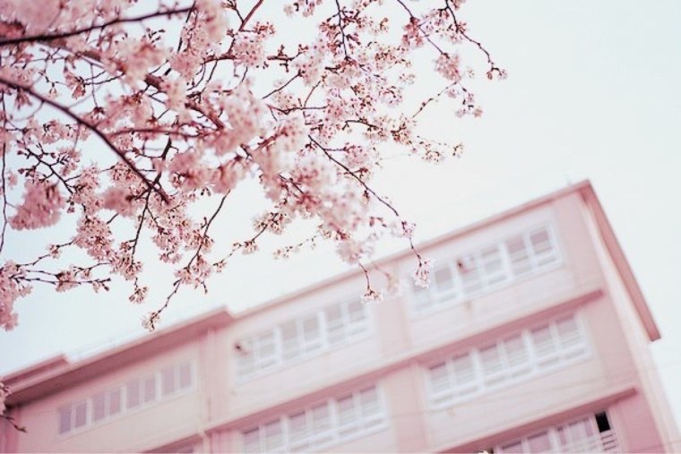 Эстетика пастельных тонов Корея