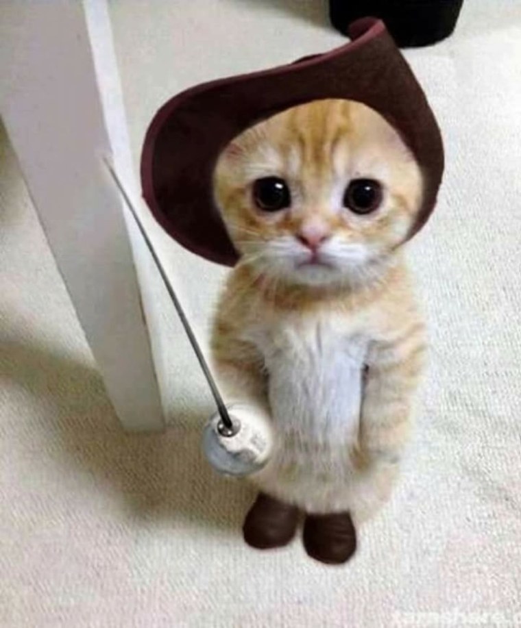 Кот со шпагой Мем