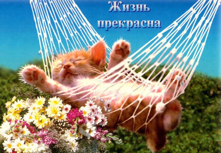 Череп картинки красивые