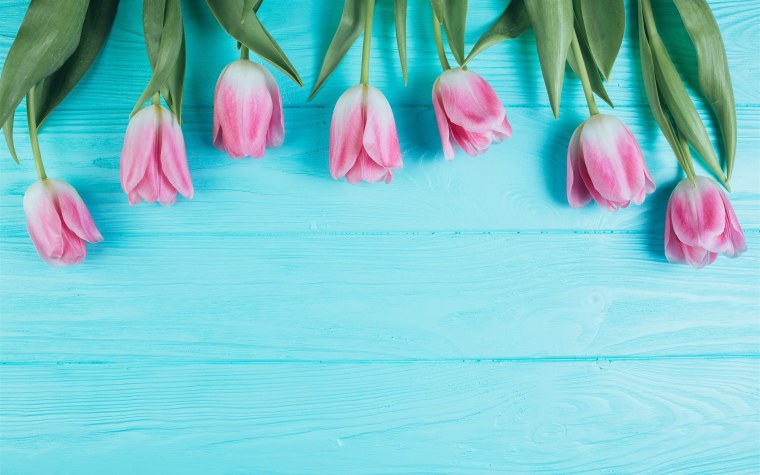 Фотофон для цветов