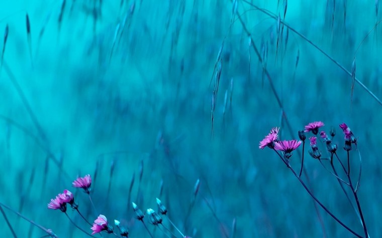 Розово голубой фон