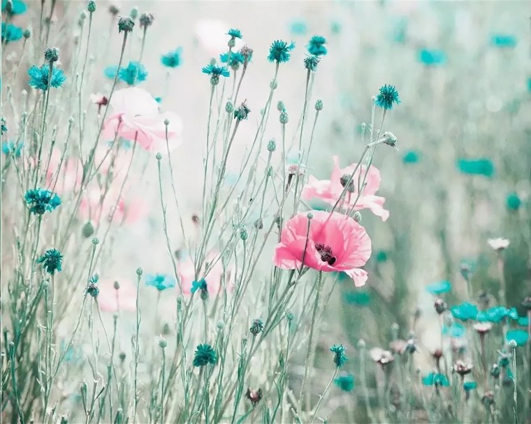 Розово голубой фон акварель