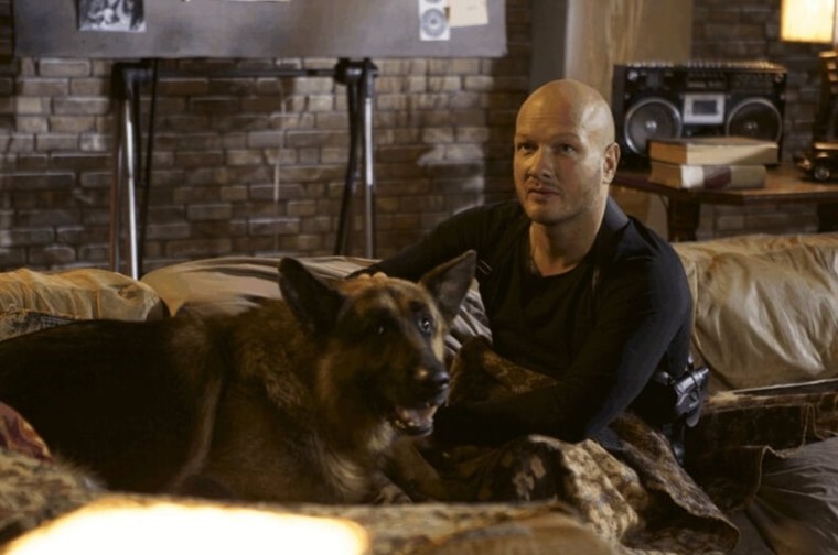 Граф Шутц Хунд в сериале пес