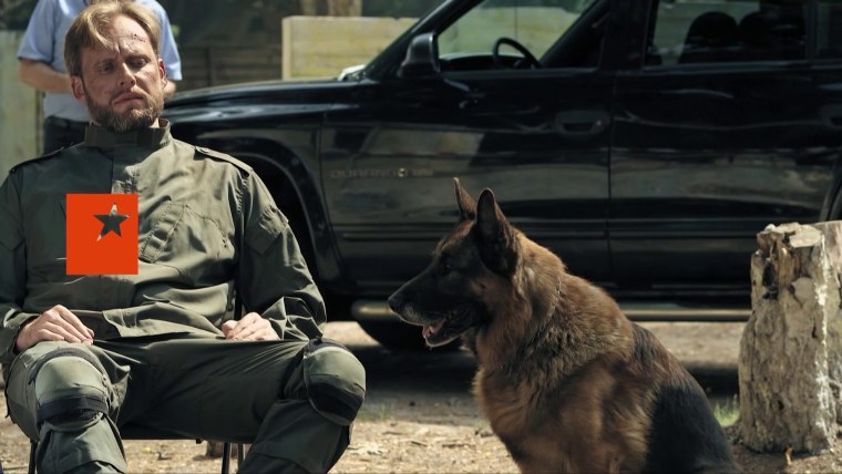 Сериал пес съемки