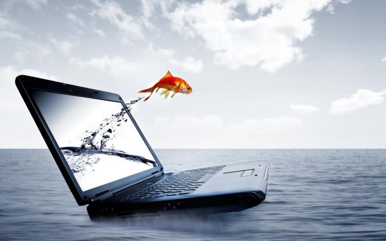 Обои на ноутбук