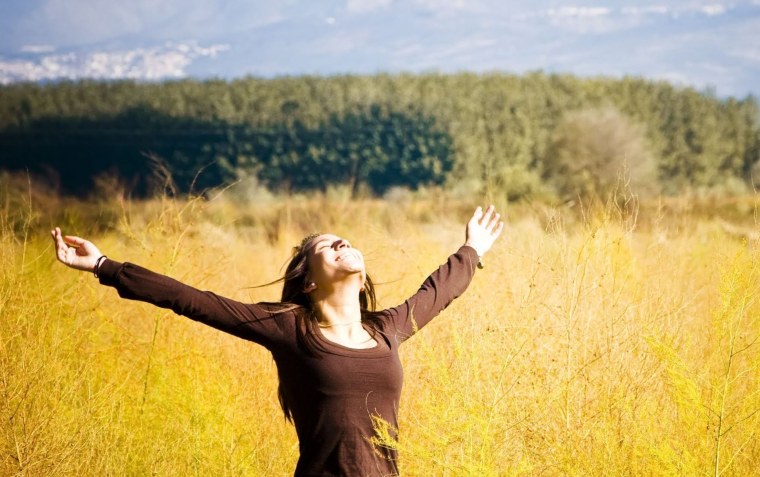 Принятие решений