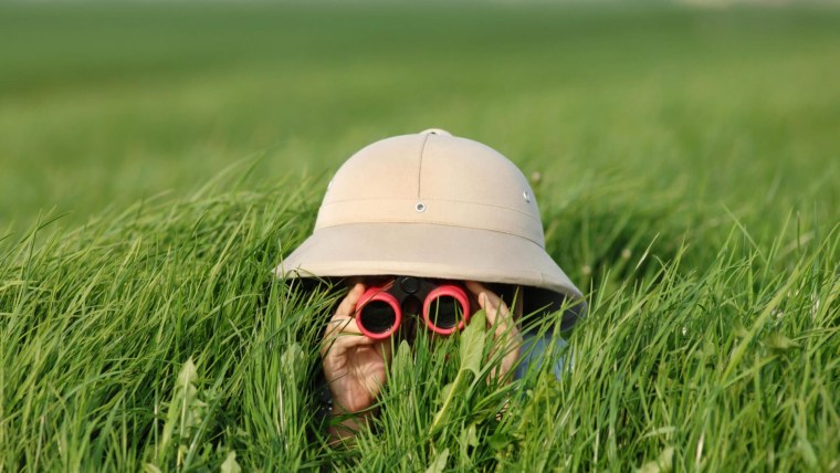 Бинокль вс РФ