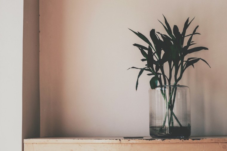 Эстетические цветы