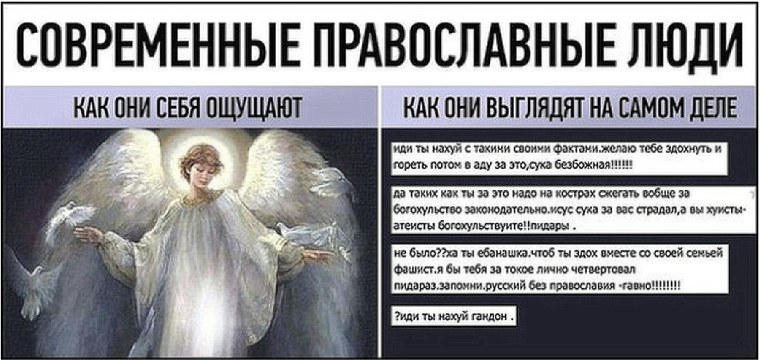 Даша путешественница Тукан