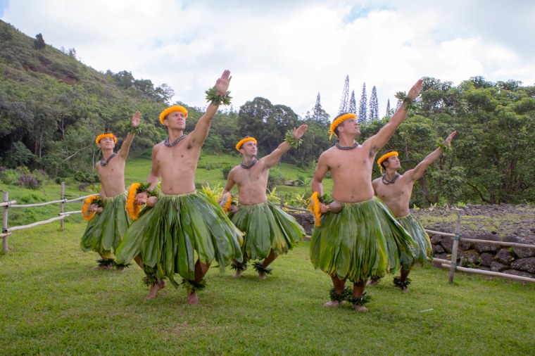 2009 Год Гавайи