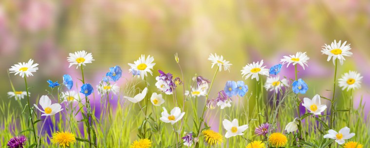 Обложка для фейсбука лето