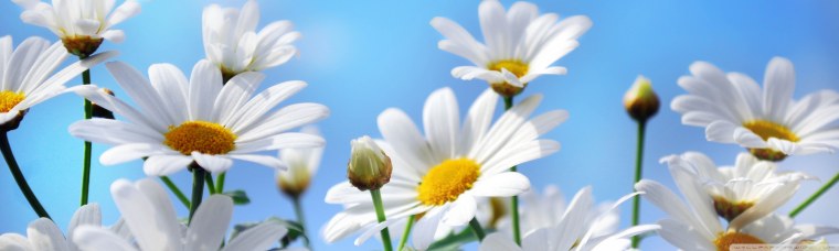 Среда середина недели доброе утро