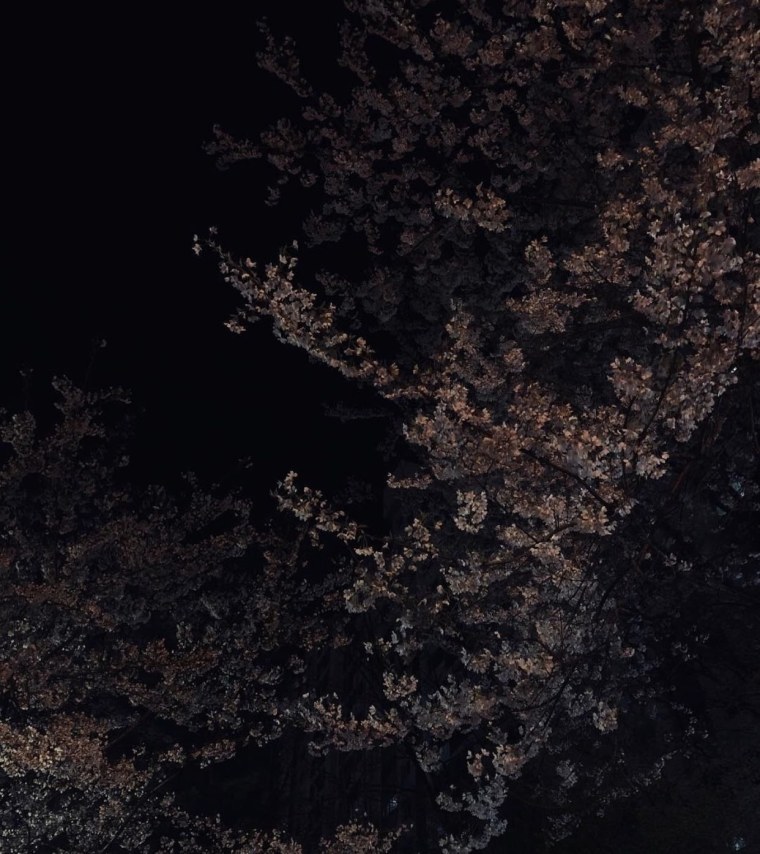 Темная Эстетика