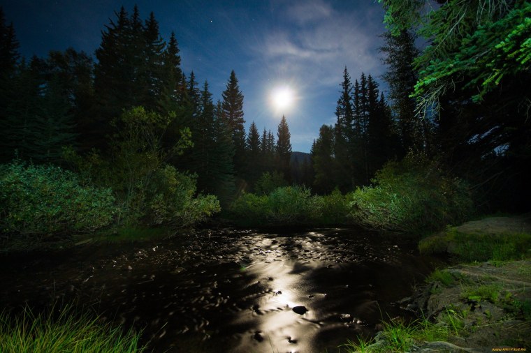 Ночь река лес