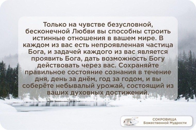 Безусловная любовь картина