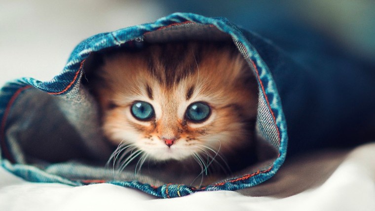 Удивительные иллюстрации от художника Rihards Donskis (apofiss)